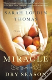 Capa do artigo Miracle In A Dry Season