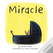 Capa do artigo Miracle