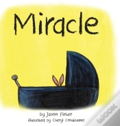 Capa do artigo Miracle