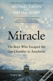 Capa do artigo Miracle