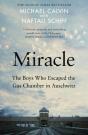 Miracle - Preview