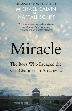 Capa do artigo Miracle