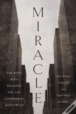 Capa do artigo Miracle