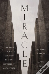 Capa do artigo Miracle