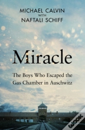Capa do artigo Miracle