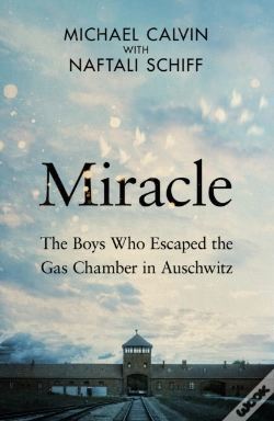 Capa do artigo Miracle