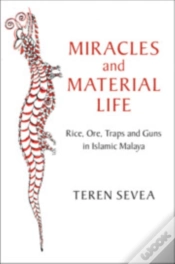 Capa do artigo Miracles And Material Life