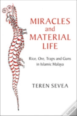 Capa do artigo Miracles And Material Life