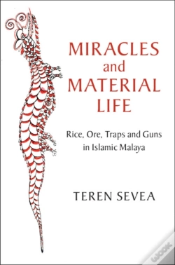 Capa do artigo Miracles And Material Life