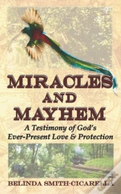 Capa do artigo Miracles And Mayhem
