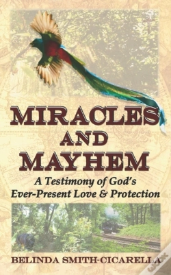 Capa do artigo Miracles And Mayhem