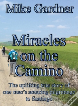 Capa do artigo Miracles On The Camino