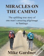 Capa do artigo Miracles On The Camino