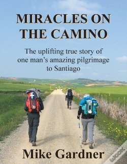 Capa do artigo Miracles On The Camino