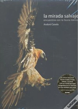 Capa do artigo Mirada Salvaje