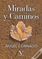 Capa do artigo Miradas Y Caminos