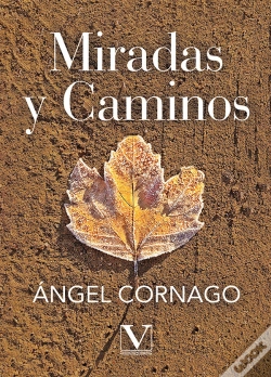 Capa do artigo Miradas Y Caminos
