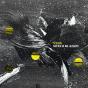 Mirlo Blanco - CD - Preview