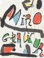 Miro Graveur Iii - Preview