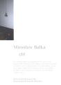 Miroslaw Balka. Ctrl - Preview