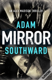 Capa do artigo Mirror