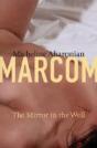 Mirror In The Well - Preview