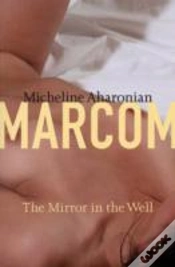 Capa do artigo Mirror In The Well