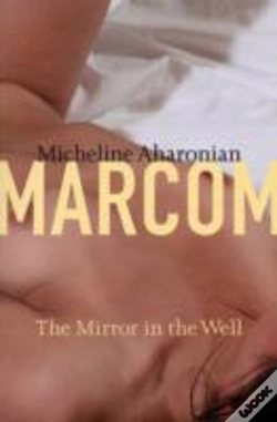 Capa do artigo Mirror In The Well