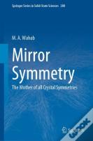 Mirror Symmetry