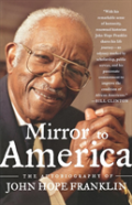 Mirror To America