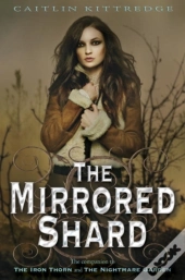 Mirrored Shard: The Iron Codex Book Three
