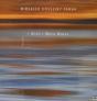 Mirsaeed Hosseiny Panah: I Wish I Were Water - Vinil - Preview