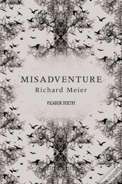 Capa do artigo Misadventure