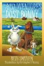 Misadventures Of Dust Bunny - Preview
