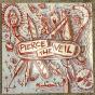Misadventures - Vinil - Preview