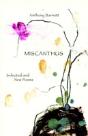 Miscanthus - Preview