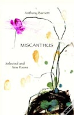 Capa do artigo Miscanthus