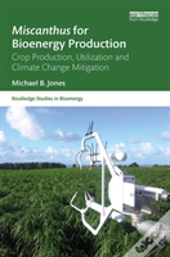 Miscanthus For Bioenergy Production