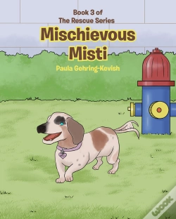 Capa do artigo Mischievous Misti