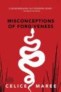 Misconceptions Of Forgiveness - Preview
