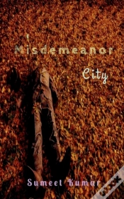 Capa do artigo Misdemeanor City