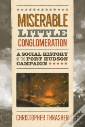 Capa do artigo Miserable Little Conglomeration