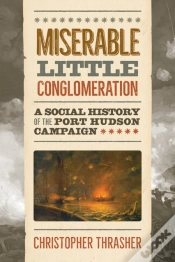 Capa do artigo Miserable Little Conglomeration