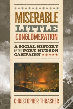 Capa do artigo Miserable Little Conglomeration