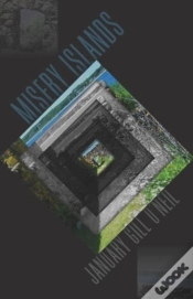 Capa do artigo Misery Islands