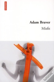 Capa do artigo Misfit