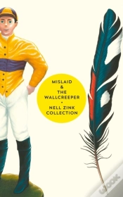 Capa do artigo Mislaid & The Wallcreeper