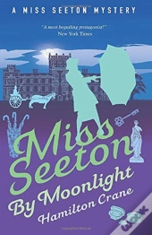 Miss Seeton By Moonlight
