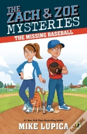 Capa do artigo Missing Baseball