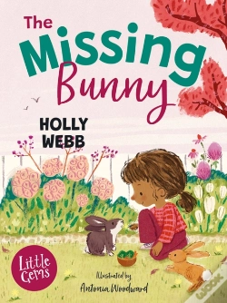 Capa do artigo Missing Bunny